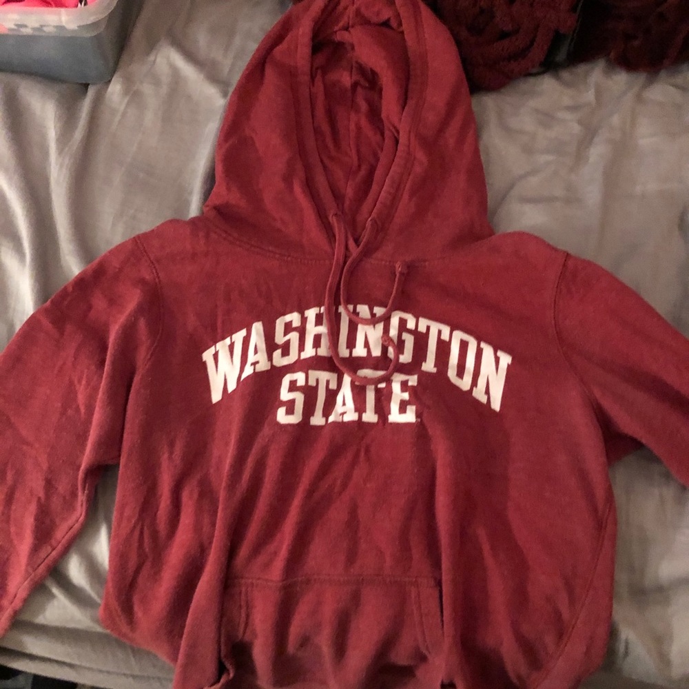 Shirts, Sweatshirts, and Dresses